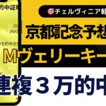 ２０２５年　京都記念予想【チェルヴィニアは危険？本命にしない理由と他の本命候補を公開】