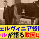 【競馬】「チェルヴィニア惨敗 ルメールが語る敗因は〇〇【京都記念】」に対する反応【反応集】