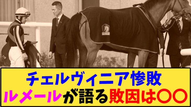 【競馬】「チェルヴィニア惨敗 ルメールが語る敗因は〇〇【京都記念】」に対する反応【反応集】