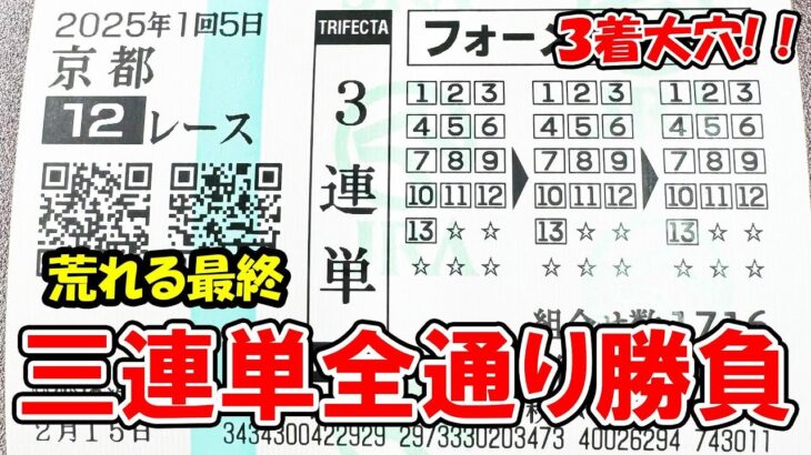 【競馬】必勝法！荒れる最終レースで三連単全通り買ったら奇跡起きた！