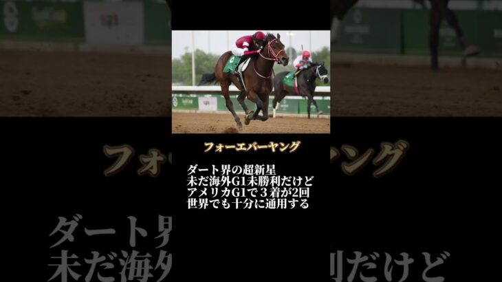 #サウジカップ #競馬 #競馬予想 #フォーエバーヤング #ロマンチックウォリアー