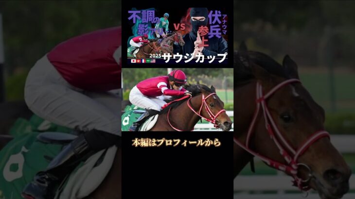 サウジカップ予想① #競馬予想 #サウジカップ #フェブラリーステークス