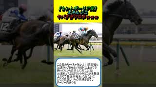 【セントポーリア賞】エネルジコ、ヤバすぎワロタｗｗｗ #競馬 #競馬予想 #池添謙一 #ドゥラメンテ #クラシック