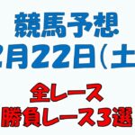 【競馬予想】２月２２日（土）全レース予想／厳選３レース(平場予想・重賞予想)