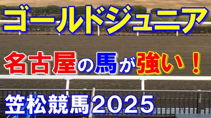 ゴールドジュニア２０２５【笠松競馬予想】名古屋の重賞勝ち馬が強い！