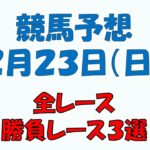 【競馬予想】２月２３日（日）全レース予想／厳選３レース(平場予想・重賞予想)