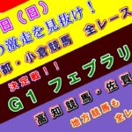 【競馬予想】競馬波乱予報　２月２３日（日）　中央競馬＆地方競馬　全レース予想！