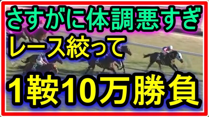 【競馬】トーマスの転落人生。とにかく具合が悪いのでレース絞って賭けることに。