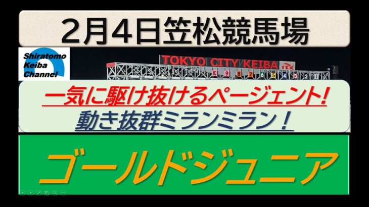 【競馬予想】ゴールドジュニア～２０２５年２月４日 笠松競馬場 ：２－８