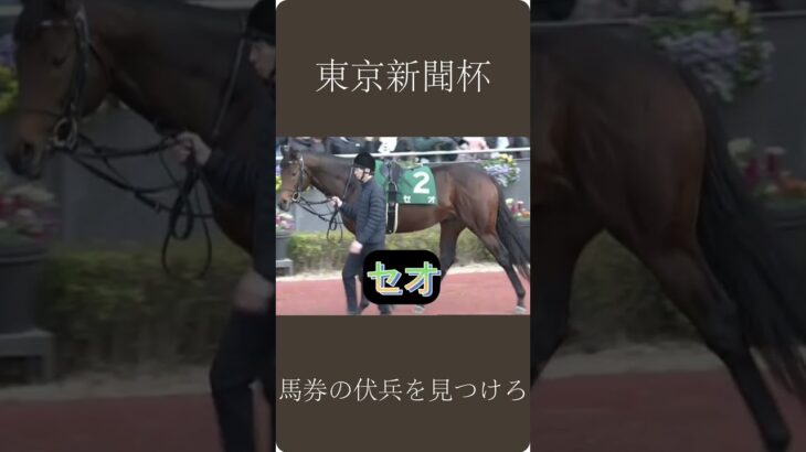 【東京新聞杯】馬券の伏兵をみつけろ #競馬 #競馬予想