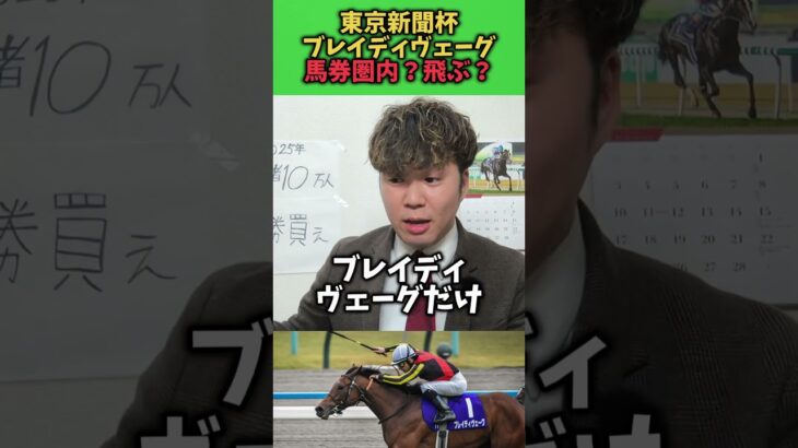 【競馬予想】東京新聞杯で注目のブレイディヴェーグ！来るだろ！#競馬#競馬予想#東京新聞杯#ブレイディヴェーグ