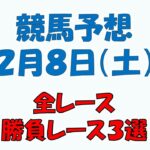 【競馬予想】２月８日（土）全レース予想／厳選３レース(平場予想・重賞予想)