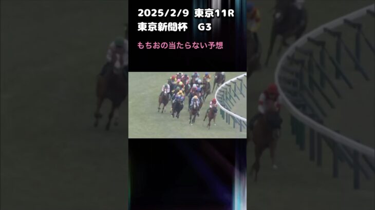 東京新聞杯　もちおの当たらない予想　#競馬 #競馬予想 #ウマ娘 #東京新聞杯