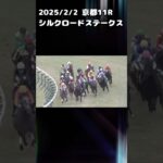 シルクロードステークス　もちおの当たらない予想　#競馬 #競馬予想 #シルクロードステークス