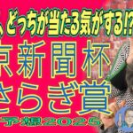 東西重賞、どっちが当たる気がする！？《東京新聞杯》《きさらぎ賞》【 武田Ｄ、大谷記者、目黒貴子姐の日刊ゲンダイ競馬予想２０２５ 】