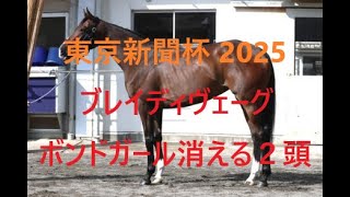 ブレイディヴェーグvsボンドガールではない 東京新聞杯 2025