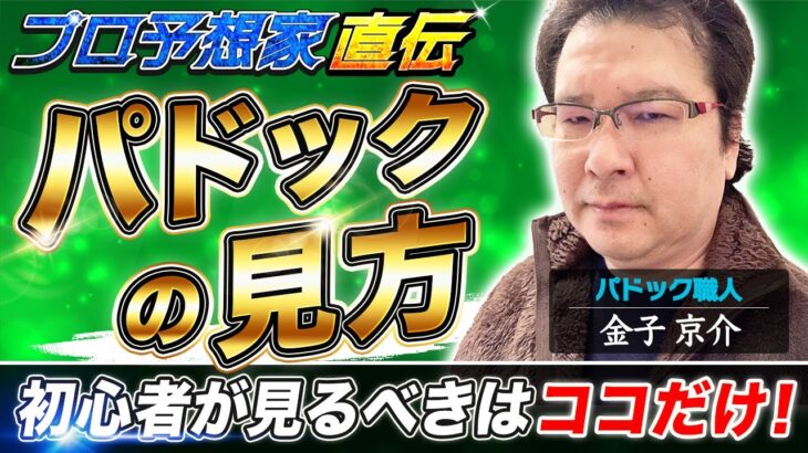 【競馬プロ予想家直伝】100万超払い戻しパドック職人「金子京介」が初心者にパドックの見方を伝授！