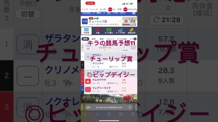 チューリップ賞予想　キラの競馬予想11