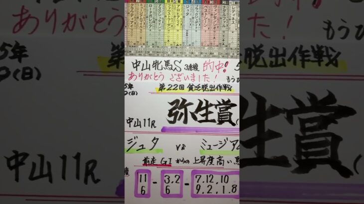 【競馬予想】中山11R 弥生賞🏇中山牝馬S的中🎯ありがとう😭です❗️