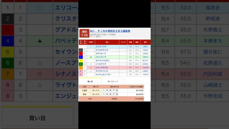 浦和競馬場 メインレース Ｍｒ．ＰＩＮＫ特別 を予想します #競馬 #予想 #競馬予想 #買い目 #浦和11r #浦和競馬 #浦和競馬場 #地方競馬 #メインレース #馬 #Ｍｒ．ＰＩＮＫ特別