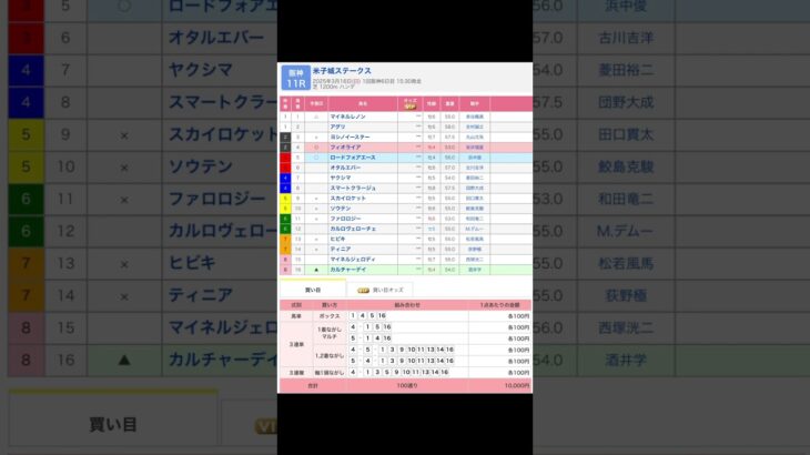 阪神競馬場 メインレース 米子城ステークス を予想します #競馬 #予想 #競馬予想 #買い目 #阪神11r #阪神競馬 #阪神競馬場 #jra #米子城ステークス #メインレース #shorts