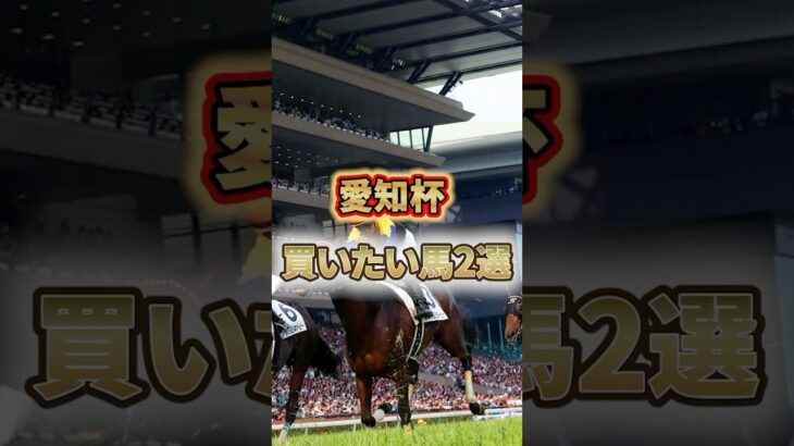 【競馬】愛知杯 激アツ馬2選#競馬 #競馬予想 #shorts #配信者