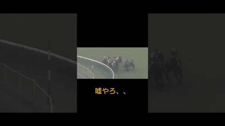 オルフェーヴル伝説🐎（阪神大賞典）#競馬 #競馬予想 #オルフェーヴル#伝説#池添謙一#安藤勝己#2012