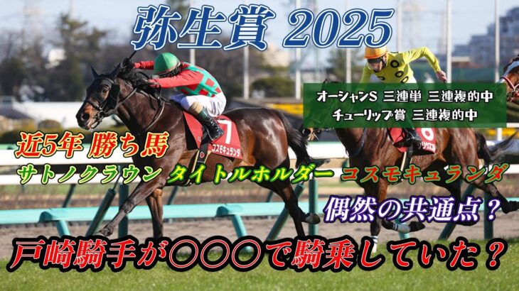 弥生賞 2025 競馬予想【軸馬に最適な1頭 オカルト？サトノフラッグ タイトルホルダー コスモキュランダの共通点？ 人馬ともに舐められてる1頭】注目馬3頭紹介