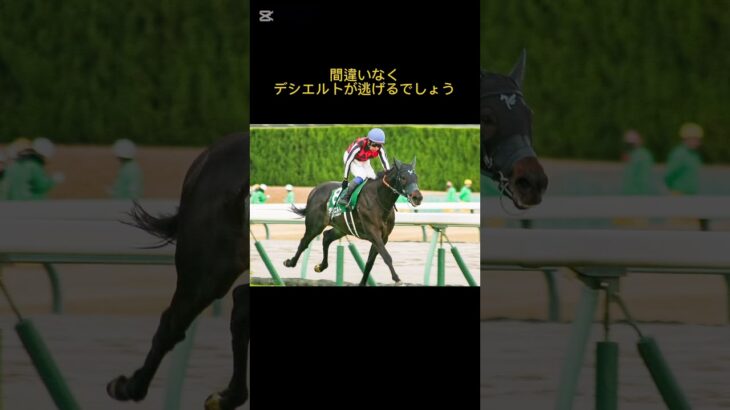 2025金鯱賞　前日予想　#競馬 #競馬予想 #金鯱賞