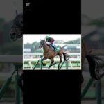 金鯱賞2025勝馬予想！ #ルメール #競馬 #中央競馬予想 #金鯱賞 #川田将雅 #武豊