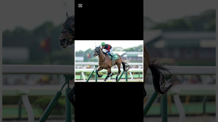 金鯱賞2025勝馬予想！ #ルメール #競馬 #中央競馬予想 #金鯱賞 #川田将雅 #武豊