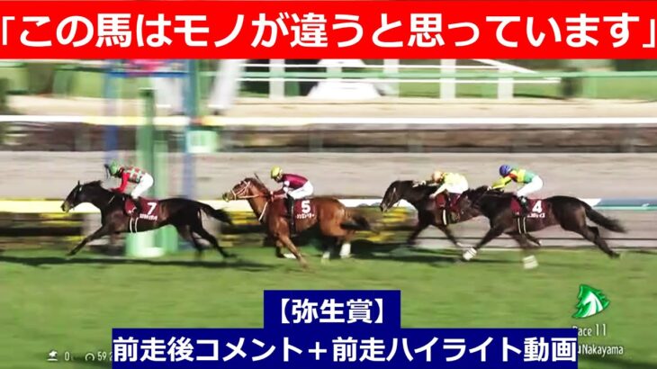 推奨馬⑤頭！【弥生賞　2025】前走後騎手コメント＋過去レースハイライト