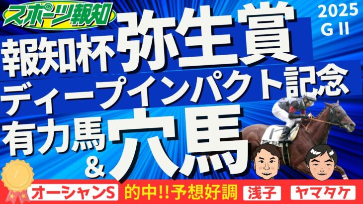 【報知杯弥生賞ディープインパクト記念2025】不気味な穴馬…実力は？３歳牡馬の構図も解説！