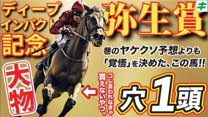 弥生賞 2025【穴馬/予想】「えっ！？こんなに強いの！？」覚悟を決めた「☆あの馬」の激走を目撃せよ！