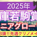 【兵庫若駒賞、ジュニアグローリー2025】蓮の地方競馬予想