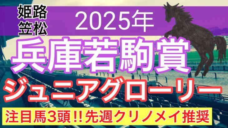 【兵庫若駒賞、ジュニアグローリー2025】蓮の地方競馬予想