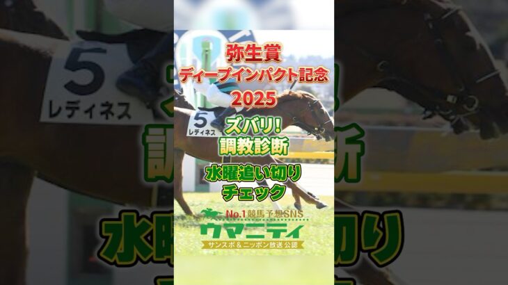 【弥生賞2025】ズバリ！調教診断(水曜追い切りチェック)レディネスますます快調！その他の注目馬はいかに？！ #弥生賞2025 #競馬予想 #shorts #レディネス #ブラックジェダイト