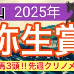 【弥生賞2025】蓮の競馬予想(狙いの穴馬)