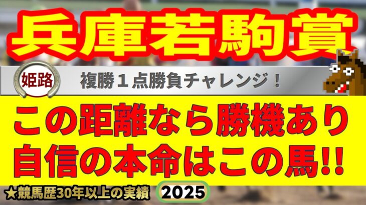 兵庫若駒賞2025競馬予想