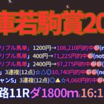 兵庫若駒賞2025予想【姫路競馬】全頭診断＋調教診断＋買い目