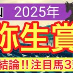 【弥生賞ディープインパクト記念2025】蓮の競馬予想(最終結論)