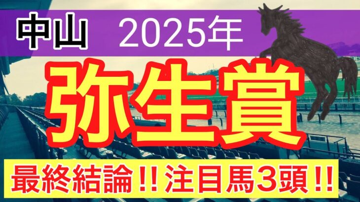 【弥生賞ディープインパクト記念2025】蓮の競馬予想(最終結論)