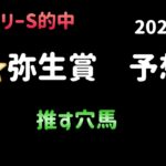 【競馬予想】　弥生賞　予想　2025