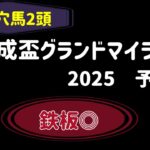 【地方競馬予想】　船橋重賞　京成盃グランドマイラーズ　予想　2025