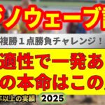 フジノウェーブ記念2025競馬予想