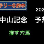 【競馬予想】　中山記念　予想　2025