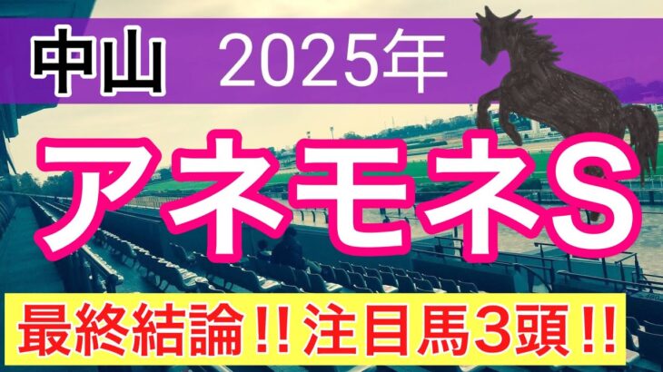 【アネモネステークス2025】蓮の競馬予想