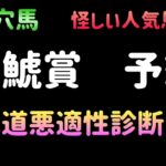 【競馬予想】　金鯱賞　予想　2025