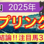 【スプリングステークス2025】蓮の競馬予想(最終結論)