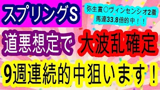 【競馬予想】スプリングステークス2025　キングスコールら人気馬は全部危険！？　展開　馬場　コース最高の中山巧者がアツい！！